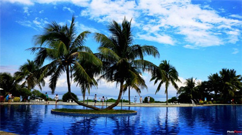 misscake蛋糕小姐