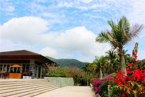 陈厨老坛酸菜鱼