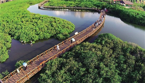 洗迎門智能移动洗车机