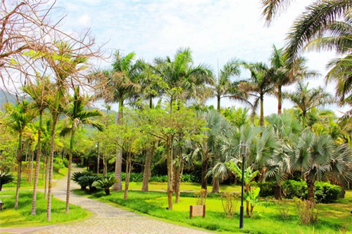 钱宝儿和风便当