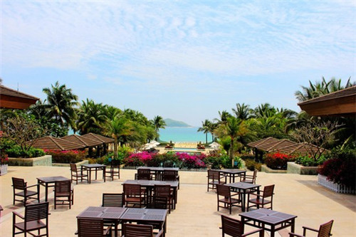 老豆酱潮汕正宗官方旗舰店（老豆酱潮汕正宗官方旗舰店是正品吗）