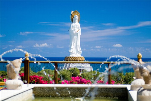 卧龙香樟旅游景点（卧龙湖小镇香樟园）